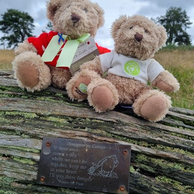 Two Aching Arms Teddys in the forest above a beautiful metal quote